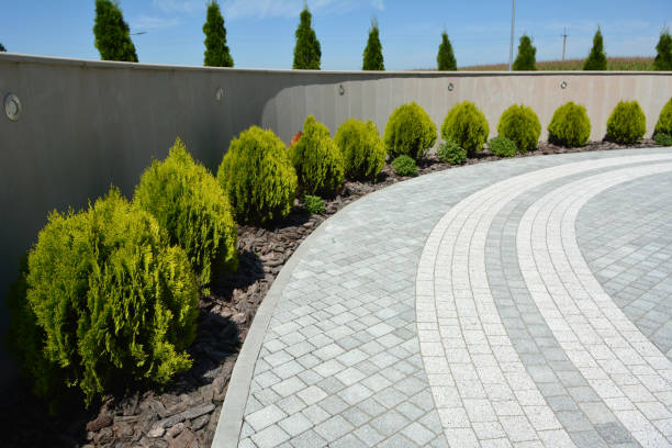 Paver Driveway Replacement in Mayfair, CA